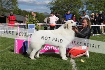 134871_ms_04_IMG_1178.JPG