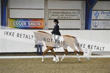 140040_abo_02__AB19235.JPG