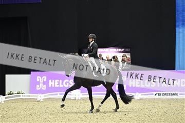 182194_kbb_03_Z092355.JPG