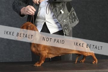 132082_le_ 01_IMG_0480.JPG