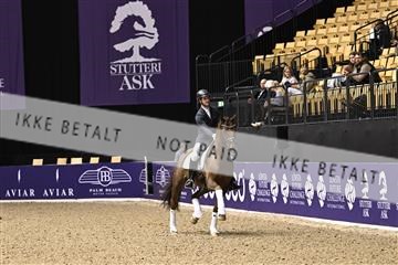182194_kbb_03_Z090969.JPG