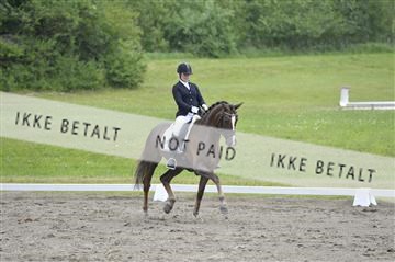 140040_abo_01__AB16594.JPG