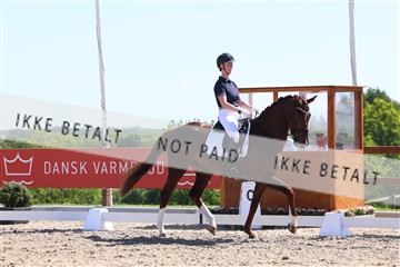 181449_bc_01R62_5776.JPG