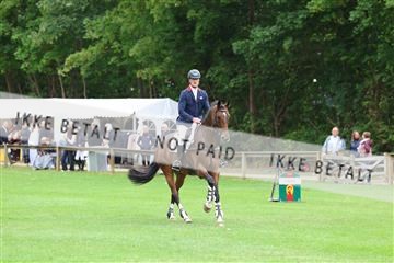 181805_mlm_01_R62_4577.JPG
