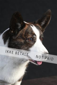 132082_le_ 01_IMG_0609.JPG