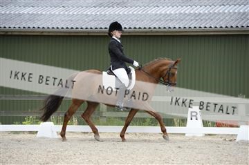139898_ms_01__MS27574.JPG