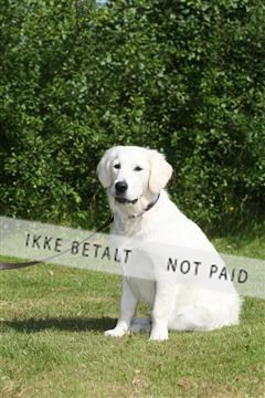 130370_se_03_IMG_6920.JPG