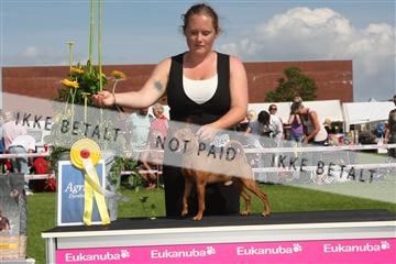 130370_se_03_IMG_7744.JPG