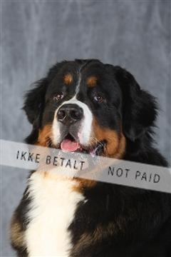 130054_le_ 03_0305.JPG