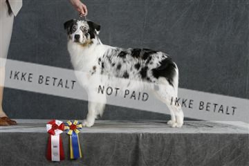 5493_sme _02__MG_9744.JPG