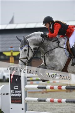 139644_abo_03__AB15262.JPG