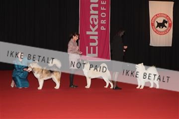 126827_tl_02_IMG_2827.JPG