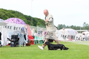 181564_rin_02_R62_1309.JPG