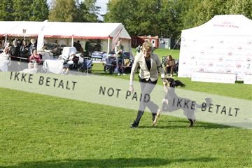 182009_kar_01__62_7274.JPG