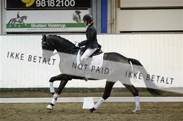 141472_abo_01__AB15918.JPG