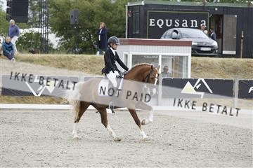 166078_rhj_01__J7R2737.JPG