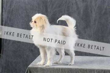 128239_le_kort_ 01_0110.JPG