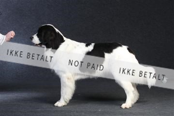 132082_le_ 01_IMG_0587.JPG