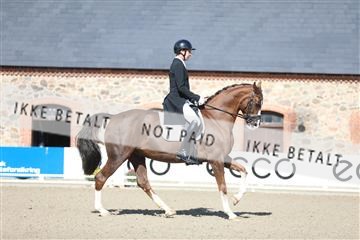 181957_mtp_06_3M5A1904.JPG