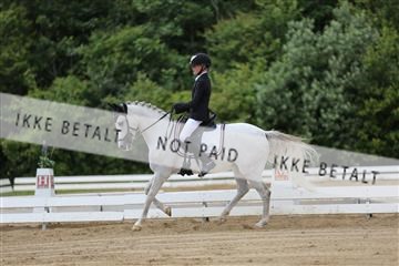 156196_nn_01_IMG_5953.JPG