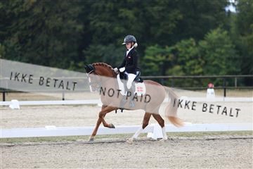 181894_mtp_01_R62_0656.JPG