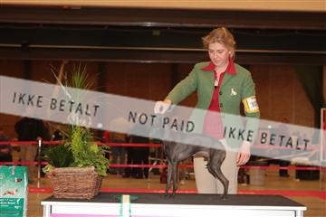 124188 _tl_02_IMG_9668.JPG