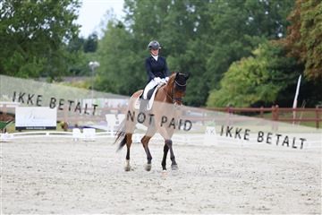 181923_mtp_01_R62_6468.JPG