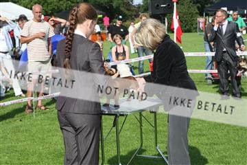 130370_se_02_IMG_6631.JPG