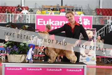 6068_ma_07_IMG_6850.JPG