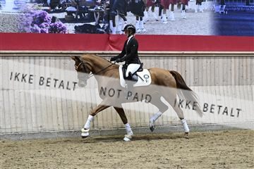 182241_kbb_01_Z093777.JPG