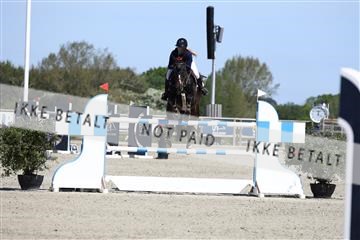 181436_avh_02_4074.JPG