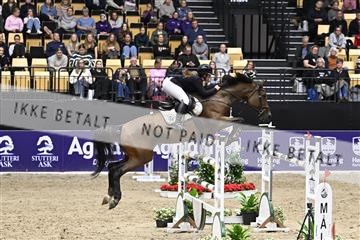 182194_kbb_02_Z099591.JPG