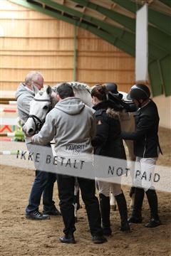 139265_kl_1_8M1Q6362.JPG