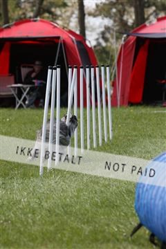 134871_ms_02_IMG_3122.JPG