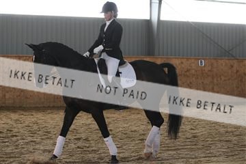 139206_kl_1_8M1Q5327.JPG