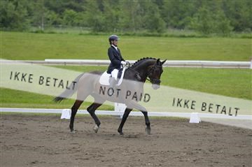 140040_abo_01__AB17601.JPG