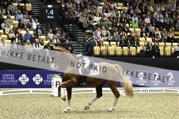 182194_kbb_03_Z092075.JPG
