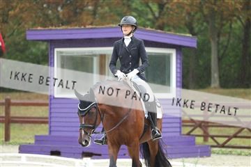 181923_mtp_03_R62_7826.JPG