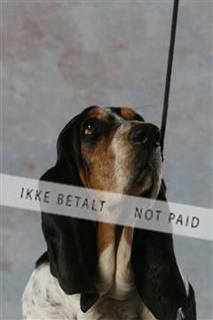 5493_sme _03__MG_9817.JPG