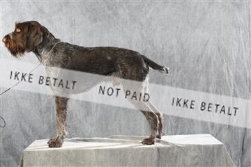 128239_le_ 06_0013.JPG