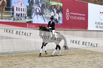 182241_kbb_01_Z093288.JPG