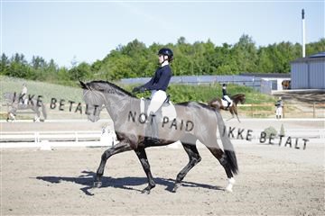 181449_kbb_01_6II8782.JPG