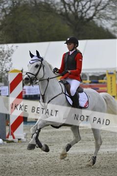 139644_abo_03__AB15272.JPG