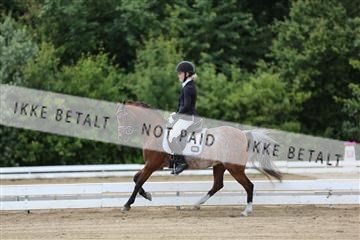 156196_nn_01_IMG_6059.JPG