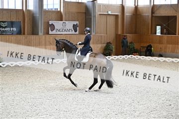 182176_kbb_01_Z094119.JPG