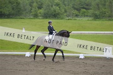 140040_abo_01__AB17600.JPG
