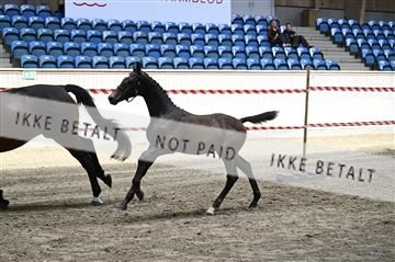 181754_kbb_01_Z092751.JPG