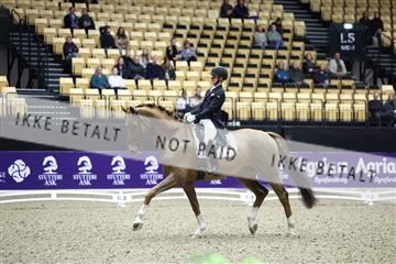 182194_mlm_01_R62_9610.JPG