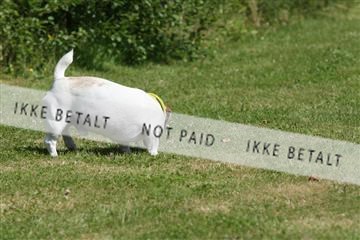 130370_se_02_IMG_6182.JPG