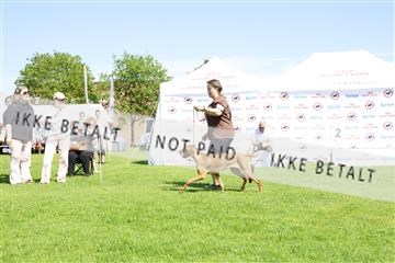 181564_kar_01__62_7972.JPG